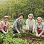 2026년 노인 일자리, 아이디어 12건 선정