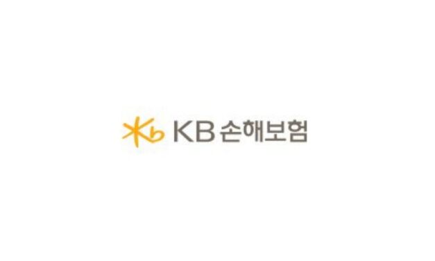 KB손해보험, 치매 진단·치료·돌봄 보장 신상품 출시