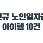 보건복지부, 신규 노인일자리 우수 아이템 10건 선정…디지털·돌봄·안전 중심