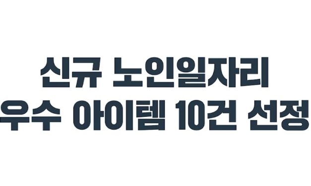 보건복지부, 신규 노인일자리 우수 아이템 10건 선정…디지털·돌봄·안전 중심