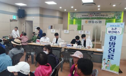 양평군, 양동면 ‘농촌 왕진버스’ 운영… 고령 농업인 등 약 200명 양한방·치과·검안 진료